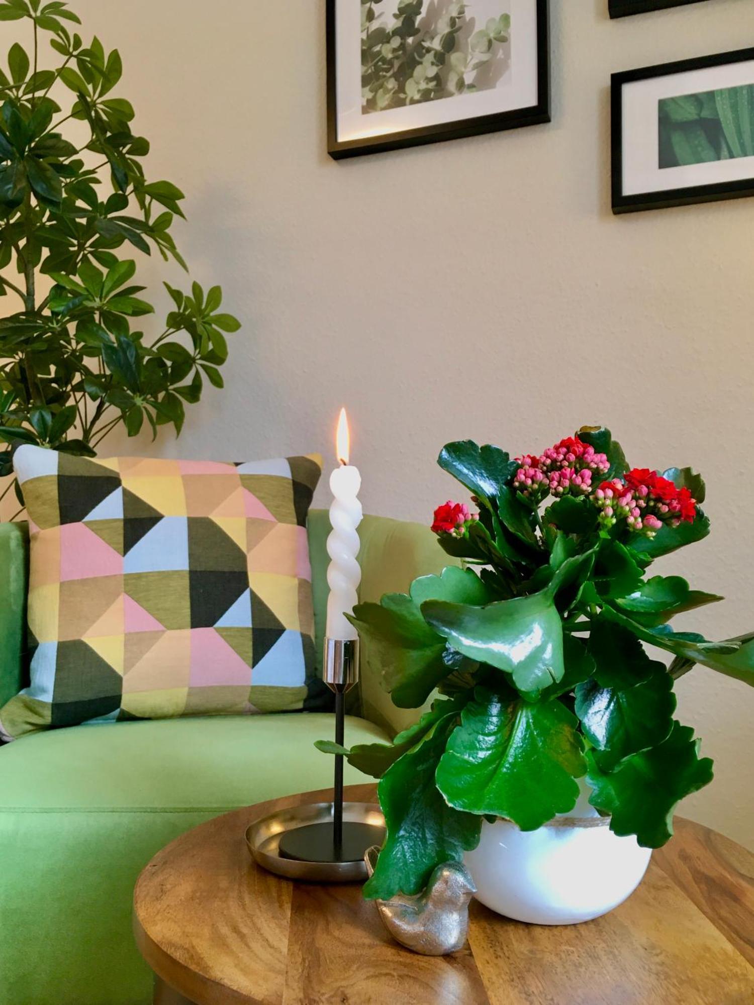 קדלינבורג Schoene Ferienwohnung Am Mathildenbrunnen חדר תמונה